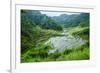 Rice Terraces of Banaue, Northern Luzon, Philippines-Michael Runkel-Framed Photographic Print