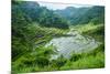 Rice Terraces of Banaue, Northern Luzon, Philippines-Michael Runkel-Mounted Photographic Print