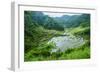 Rice Terraces of Banaue, Northern Luzon, Philippines-Michael Runkel-Framed Photographic Print