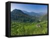 Rice Terraces of Bangaan at Banaue, Luzon Island, Philippines-Michele Falzone-Framed Stretched Canvas