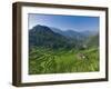 Rice Terraces of Bangaan at Banaue, Luzon Island, Philippines-Michele Falzone-Framed Photographic Print