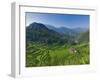 Rice Terraces of Bangaan at Banaue, Luzon Island, Philippines-Michele Falzone-Framed Photographic Print