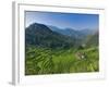 Rice Terraces of Bangaan at Banaue, Luzon Island, Philippines-Michele Falzone-Framed Photographic Print