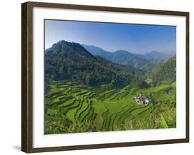 Rice Terraces of Bangaan at Banaue, Luzon Island, Philippines-Michele Falzone-Framed Photographic Print