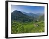 Rice Terraces of Bangaan at Banaue, Luzon Island, Philippines-Michele Falzone-Framed Photographic Print