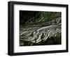 Rice Terraces of the Ailao Mountains, Honghe Prefecture, Yuanyang, Yunnan Province, China-Pete Oxford-Framed Photographic Print