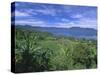 Rice Terraces on Eastern Shore of Crater Lake, Lake Maninjau, West Sumatra, Sumatra, Indonesia-Robert Francis-Stretched Canvas