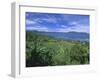 Rice Terraces on Eastern Shore of Crater Lake, Lake Maninjau, West Sumatra, Sumatra, Indonesia-Robert Francis-Framed Photographic Print