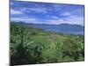 Rice Terraces on Eastern Shore of Crater Lake, Lake Maninjau, West Sumatra, Sumatra, Indonesia-Robert Francis-Mounted Photographic Print