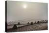 Rice Terraces with Morning Fog during Harvest, 1987 (Photo)-Nathan Benn-Stretched Canvas