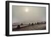 Rice Terraces with Morning Fog during Harvest, 1987 (Photo)-Nathan Benn-Framed Giclee Print