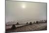 Rice Terraces with Morning Fog during Harvest, 1987 (Photo)-Nathan Benn-Mounted Giclee Print