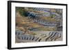 Rice Terraces, Yuanyang County, Honghe, Yunnan Province, China-Peter Adams-Framed Photographic Print