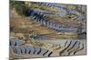 Rice Terraces, Yuanyang County, Honghe, Yunnan Province, China-Peter Adams-Mounted Photographic Print