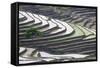 Rice terraces, Yuanyang, Yunnan Province, China.-Josh Anon-Framed Stretched Canvas