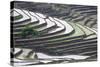 Rice terraces, Yuanyang, Yunnan Province, China.-Josh Anon-Stretched Canvas