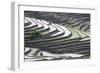 Rice terraces, Yuanyang, Yunnan Province, China.-Josh Anon-Framed Photographic Print