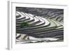 Rice terraces, Yuanyang, Yunnan Province, China.-Josh Anon-Framed Photographic Print
