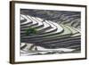 Rice terraces, Yuanyang, Yunnan Province, China.-Josh Anon-Framed Photographic Print