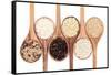 Rice Varieties In Olive Wood Spoons Over White Background-marilyna-Framed Stretched Canvas