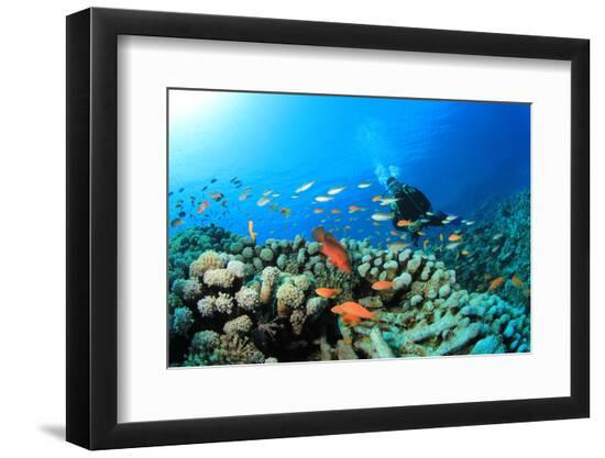 Premium Photographic Print, , large