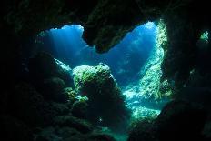 Scuba Diver Swims over Underwater Cave, Silhouette against Sun-Rich Carey-Photographic Print