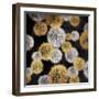 Rich Dandelions-Jace Grey-Framed Art Print