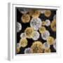 Rich Dandelions-Jace Grey-Framed Art Print