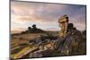 Rich Evening Sunlight at Great Staple Tor, Dartmoor National Park, Devon, England. Winter (January)-Adam Burton-Mounted Photographic Print