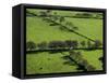 Rich green pastureland in countryside of Northern Ireland-Layne Kennedy-Framed Stretched Canvas