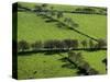 Rich green pastureland in countryside of Northern Ireland-Layne Kennedy-Stretched Canvas