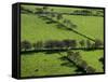 Rich green pastureland in countryside of Northern Ireland-Layne Kennedy-Framed Stretched Canvas
