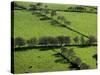 Rich green pastureland in countryside of Northern Ireland-Layne Kennedy-Stretched Canvas