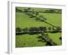 Rich green pastureland in countryside of Northern Ireland-Layne Kennedy-Framed Photographic Print