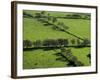 Rich green pastureland in countryside of Northern Ireland-Layne Kennedy-Framed Photographic Print