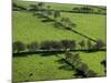 Rich green pastureland in countryside of Northern Ireland-Layne Kennedy-Mounted Photographic Print