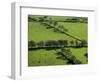 Rich green pastureland in countryside of Northern Ireland-Layne Kennedy-Framed Photographic Print