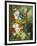 Rich Still Life of Summer Flowers-Georgius Jacobus J. van Os-Framed Giclee Print