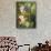 Rich Still Life of Summer Flowers-Georgius Jacobus J. van Os-Giclee Print displayed on a wall