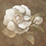 Tawny Peony-Rich Wilder-Stretched Canvas