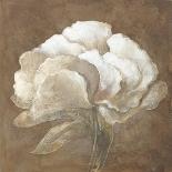 Tawny Peony-Rich Wilder-Stretched Canvas