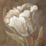 Tulip-Rich Wilder-Stretched Canvas