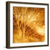 Rich Woodland I-Malcolm Sanders-Framed Giclee Print