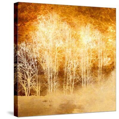 'Rich Woodland II' Stretched Canvas Print - Malcolm Sanders ...