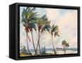 Canvas Black