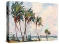 Stretched Canvas