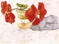 Poinsettias-Richard Akerman-Giclee Print