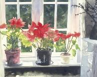 Red Plant in Pot-Richard Akerman-Stretched Canvas