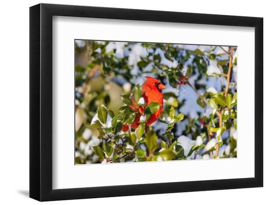 Photographic Print, , large