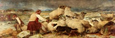 Dogs and Pheasant, 1840-Richard Ansdell-Giclee Print